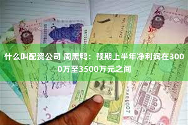 什么叫配资公司 周黑鸭：预期上半年净利润在3000万至3500万元之间