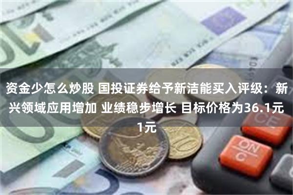 资金少怎么炒股 国投证券给予新洁能买入评级：新兴领域应用增加 业绩稳步增长 目标价格为36.1元