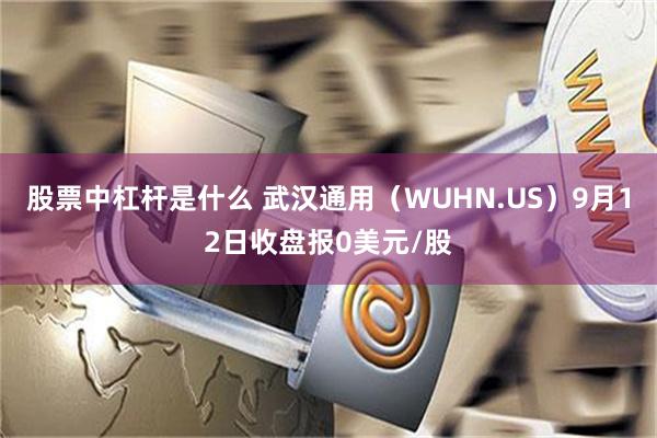 股票中杠杆是什么 武汉通用（WUHN.US）9月12日收盘报0美元/股