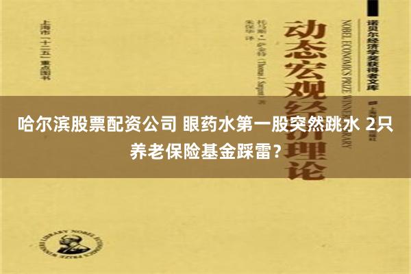 哈尔滨股票配资公司 眼药水第一股突然跳水 2只养老保险基金踩雷？