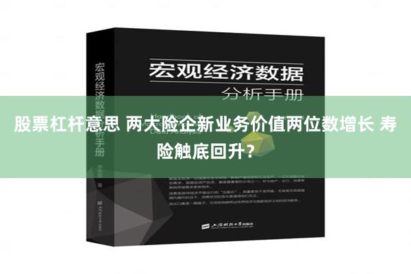 股票杠杆意思 两大险企新业务价值两位数增长 寿险触底回升？