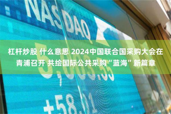 杠杆炒股 什么意思 2024中国联合国采购大会在青浦召开 共绘国际公共采购“蓝海”新篇章