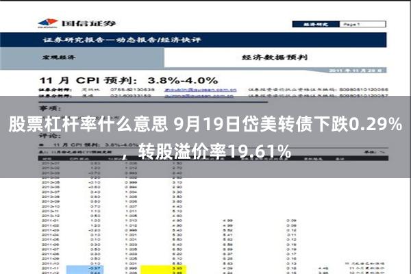 股票杠杆率什么意思 9月19日岱美转债下跌0.29%，转股溢价率19.61%