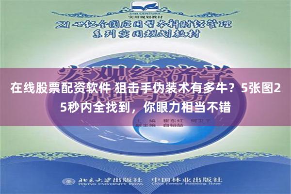 在线股票配资软件 狙击手伪装术有多牛？5张图25秒内全找到，你眼力相当不错