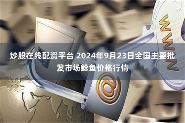 炒股在线配资平台 2024年9月23日全国主要批发市场鲶鱼价格行情