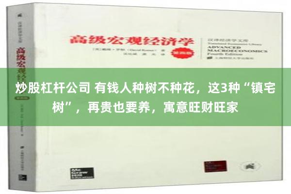 炒股杠杆公司 有钱人种树不种花，这3种“镇宅树”，再贵也要养，寓意旺财旺家