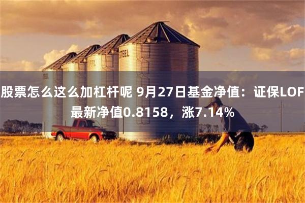 股票怎么这么加杠杆呢 9月27日基金净值：证保LOF最新净值0.8158，涨7.14%