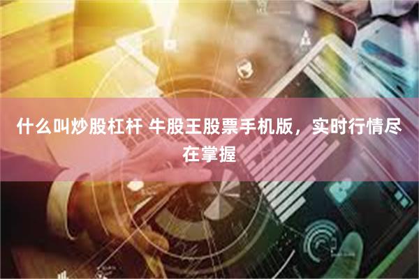 什么叫炒股杠杆 牛股王股票手机版，实时行情尽在掌握