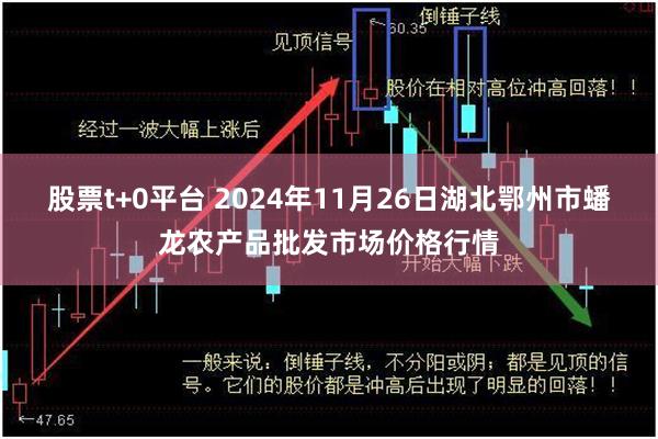 股票t+0平台 2024年11月26日湖北鄂州市蟠龙农产品批发市场价格行情