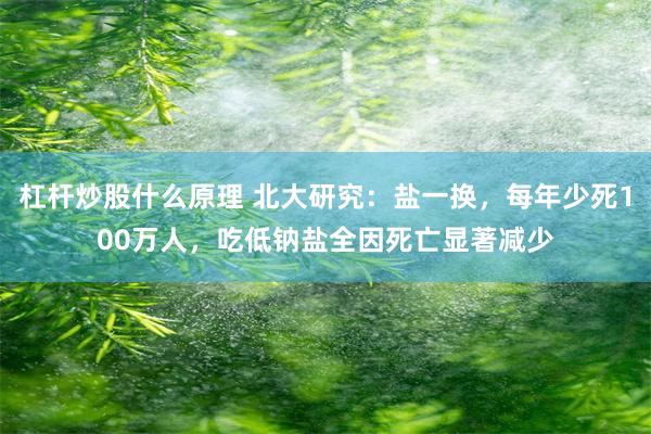 杠杆炒股什么原理 北大研究：盐一换，每年少死100万人，吃低钠盐全因死亡显著减少