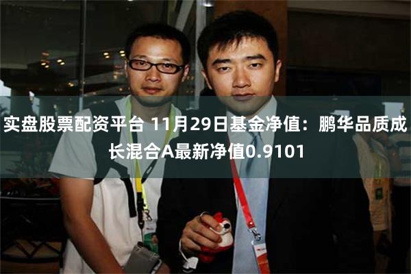 实盘股票配资平台 11月29日基金净值：鹏华品质成长混合A最新净值0.9101