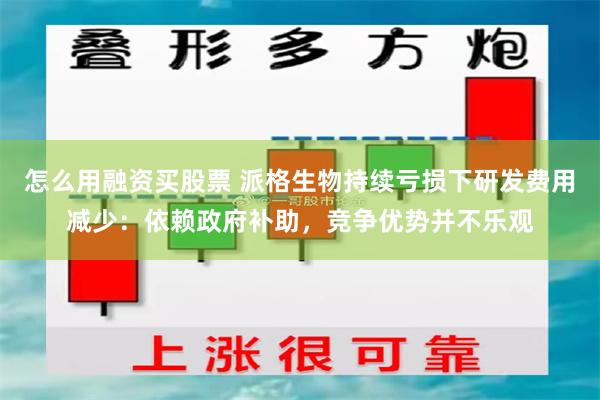 怎么用融资买股票 派格生物持续亏损下研发费用减少：依赖政府补助，竞争优势并不乐观