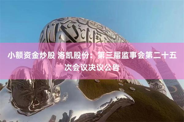 小额资金炒股 洛凯股份：第三届监事会第二十五次会议决议公告