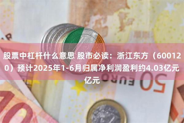 股票中杠杆什么意思 股市必读：浙江东方（600120）预计2025年1-6月归属净利润盈利约4.03亿元