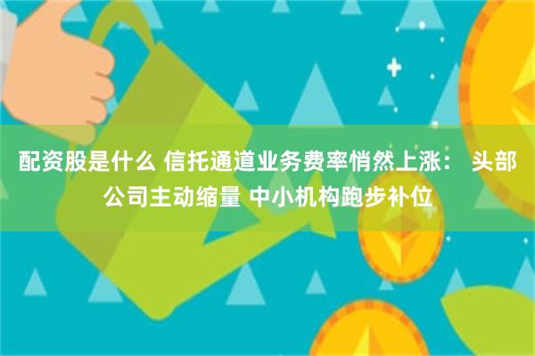 配资股是什么 信托通道业务费率悄然上涨： 头部公司主动缩量 中小机构跑步补位