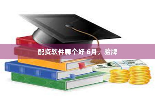 配资软件哪个好 6月，验牌